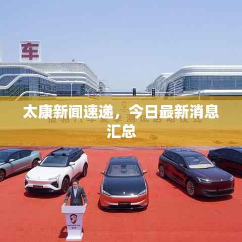 太康新聞速遞，今日最新消息匯總