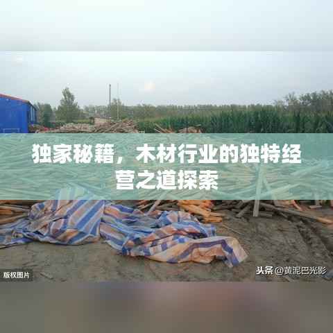 獨家秘籍，木材行業(yè)的獨特經(jīng)營之道探索