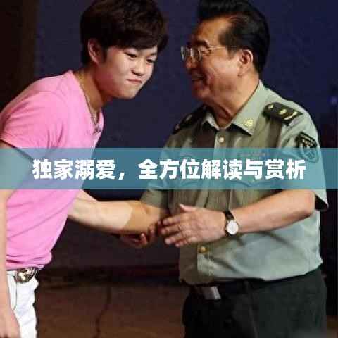 獨(dú)家溺愛，全方位解讀與賞析