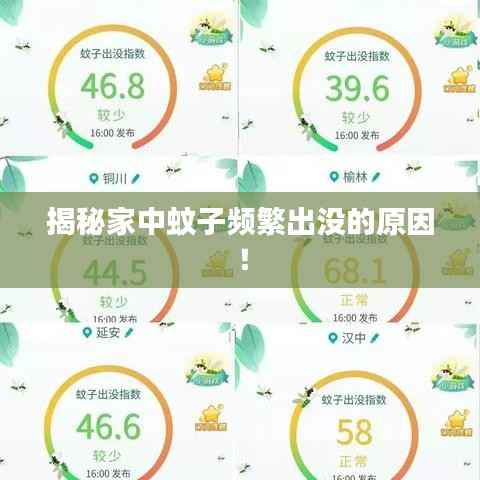揭秘家中蚊子頻繁出沒的原因！