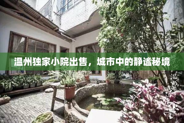 溫州獨家小院出售，城市中的靜謐秘境