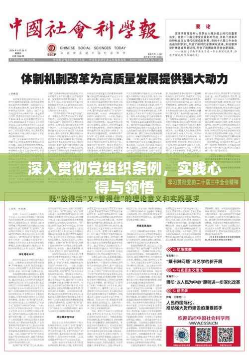 深入貫徹黨組織條例，實踐心得與領(lǐng)悟