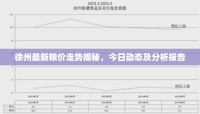 徐州最新糧價走勢揭秘，今日動態及分析報告