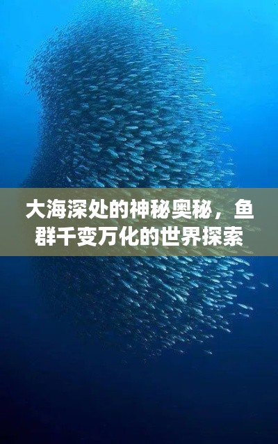 大海深處的神秘奧秘，魚群千變萬化的世界探索