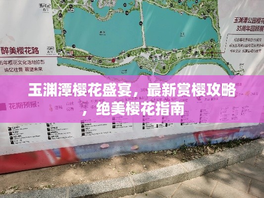 玉淵潭櫻花盛宴，最新賞櫻攻略，絕美櫻花指南