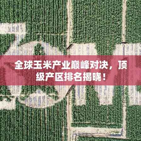 全球玉米產業巔峰對決，頂級產區排名揭曉！