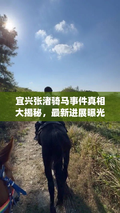 宜興張渚騎馬事件真相大揭秘，最新進展曝光