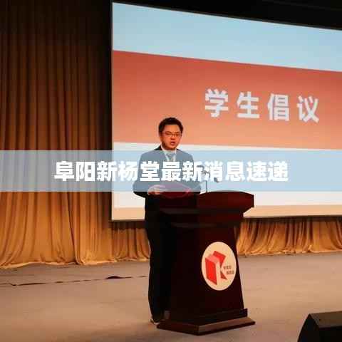 阜陽新楊堂最新消息速遞