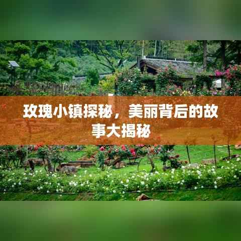 玫瑰小鎮探秘，美麗背后的故事大揭秘