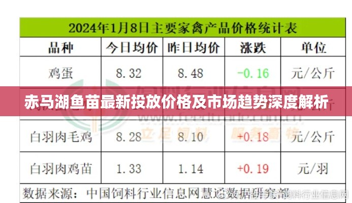 赤馬湖魚苗最新投放價格及市場趨勢深度解析