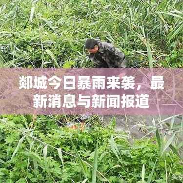 郯城今日暴雨來襲，最新消息與新聞報道