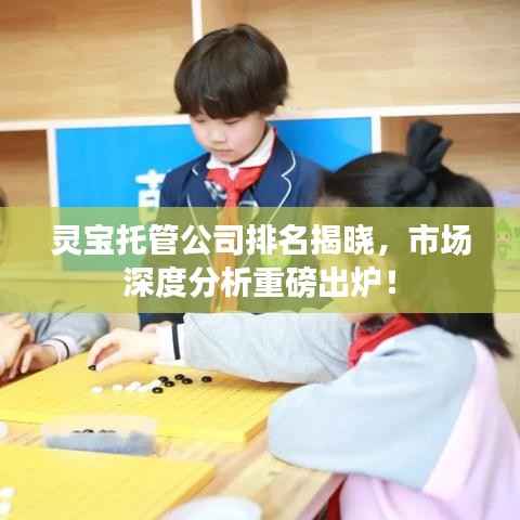 靈寶托管公司排名揭曉，市場深度分析重磅出爐！