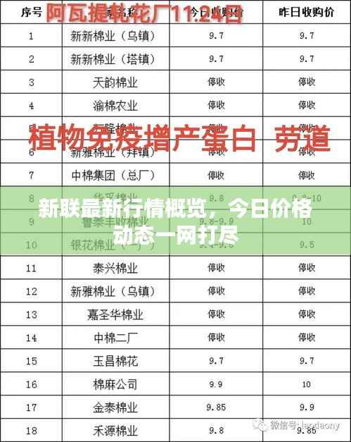 新聯最新行情概覽，今日價格動態一網打盡