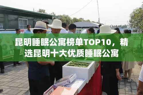 昆明睡眠公寓榜單TOP10，精選昆明十大優質睡眠公寓