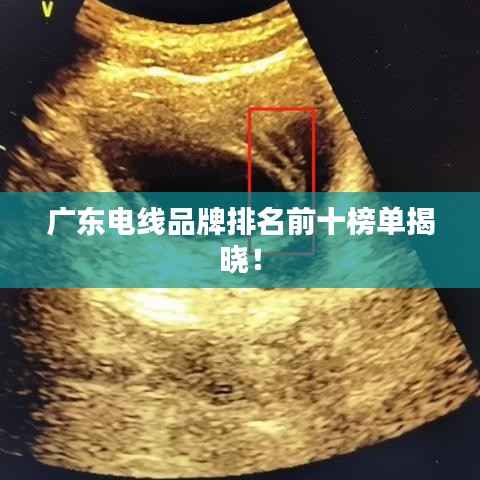 廣東電線品牌排名前十榜單揭曉！