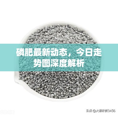 磷肥最新動態，今日走勢圖深度解析