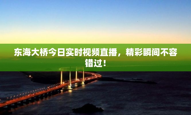 東海大橋今日實時視頻直播，精彩瞬間不容錯過！