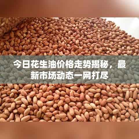 今日花生油價格走勢揭秘，最新市場動態一網打盡