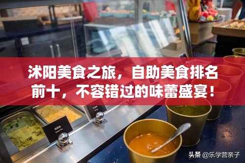 沭陽美食之旅，自助美食排名前十，不容錯過的味蕾盛宴！