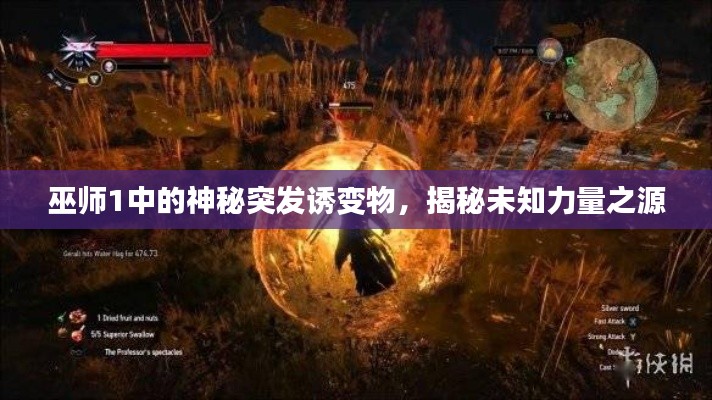 巫師1中的神秘突發誘變物，揭秘未知力量之源