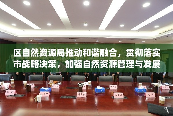 區自然資源局推動和諧融合，貫徹落實市戰略決策，加強自然資源管理與發展