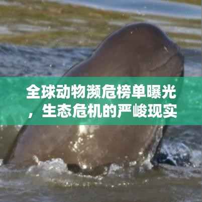 冰肌玉骨 第3頁