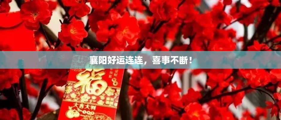 襄陽好運連連，喜事不斷！