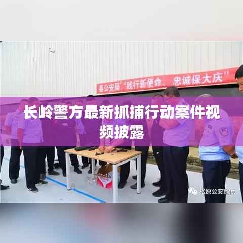長嶺警方最新抓捕行動案件視頻披露