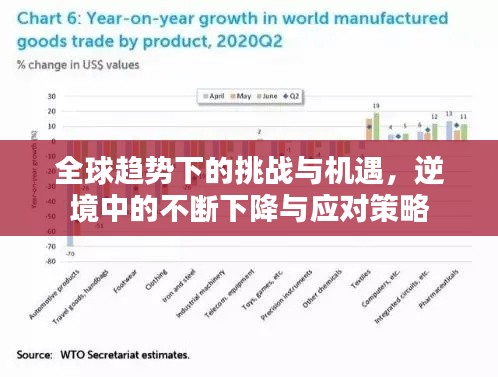 全球趨勢下的挑戰與機遇，逆境中的不斷下降與應對策略