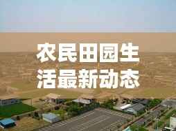 農民田園生活最新動態，新聞聯播深入報道