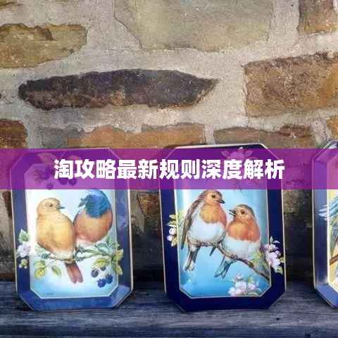 淘攻略最新規則深度解析