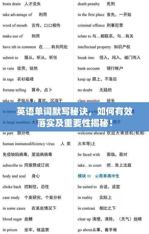 英語單詞默寫秘訣，如何有效落實及重要性揭秘！