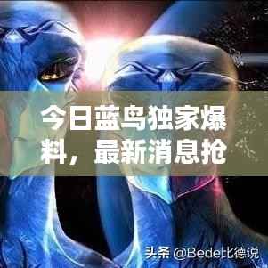 今日藍(lán)鳥獨(dú)家爆料，最新消息搶先看！