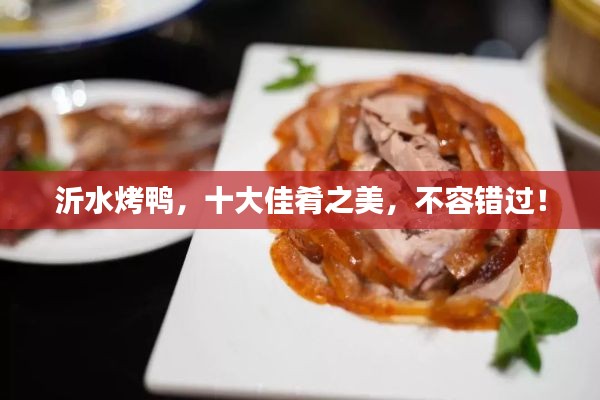 沂水烤鴨，十大佳肴之美，不容錯過！