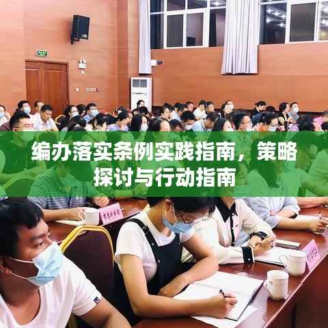 編辦落實條例實踐指南，策略探討與行動指南