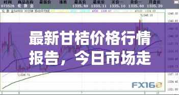 最新甘桔價(jià)格行情報(bào)告，今日市場(chǎng)走勢(shì)一網(wǎng)打盡！