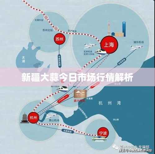 新疆大蒜今日市場(chǎng)行情解析