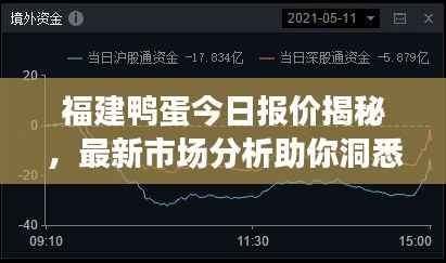 福建鴨蛋今日報價揭秘，最新市場分析助你洞悉行情！