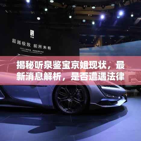 揭秘聽泉鑒寶京姐現狀，最新消息解析，是否遭遇法律制裁？