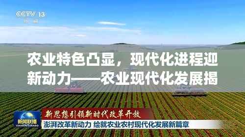 農業特色凸顯，現代化進程迎新動力——農業現代化發展揭秘！