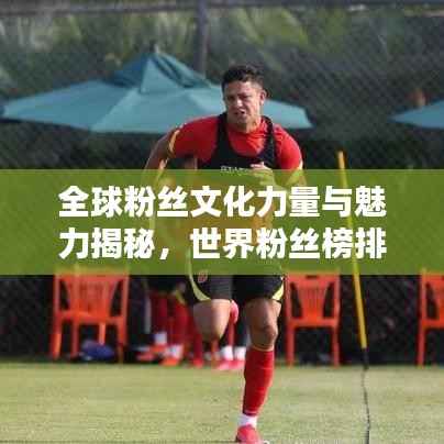 全球粉絲文化力量與魅力揭秘，世界粉絲榜排名探索