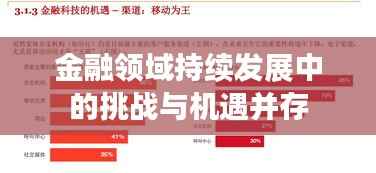 金融領域持續發展中的挑戰與機遇并存