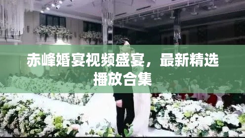 赤峰婚宴視頻盛宴，最新精選播放合集