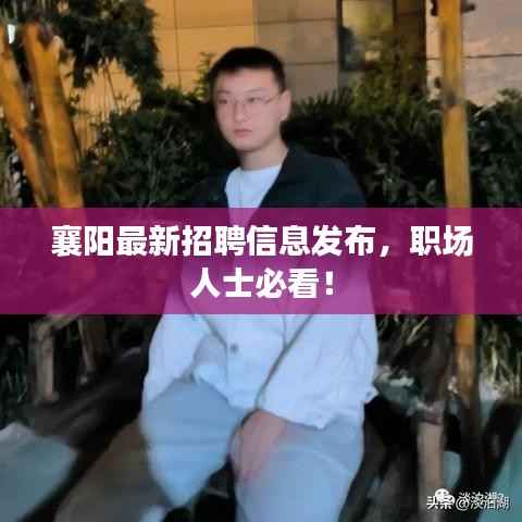 襄陽最新招聘信息發布，職場人士必看！