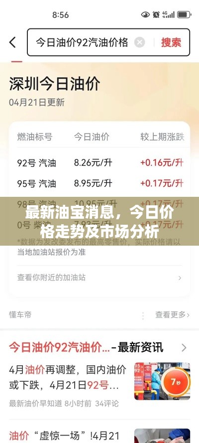 最新油寶消息，今日價格走勢及市場分析