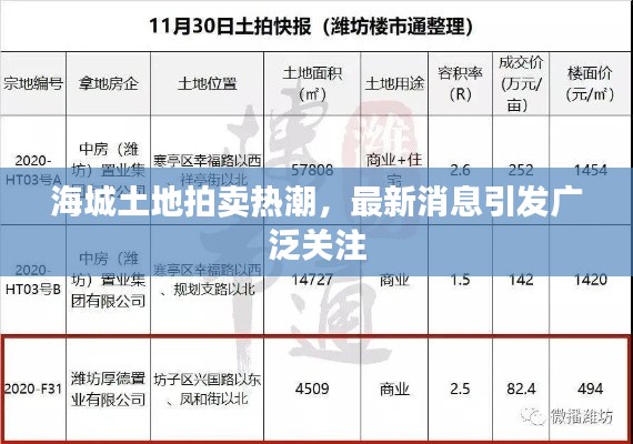海城土地拍賣熱潮，最新消息引發(fā)廣泛關(guān)注
