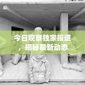 今日觀察獨家報道，揭秘最新動態