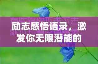 勵志感悟語錄，激發(fā)你無限潛能的深層啟示