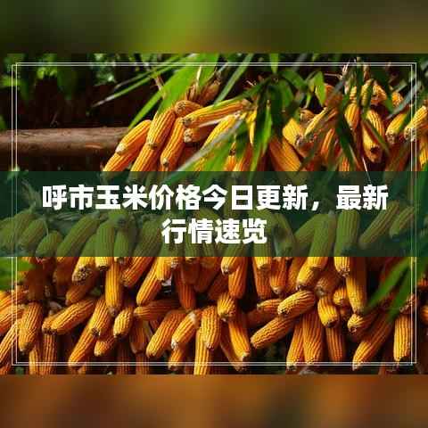 富貴有余 第4頁