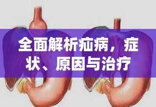 全面解析疝病，癥狀、原因與治療策略專題探討
